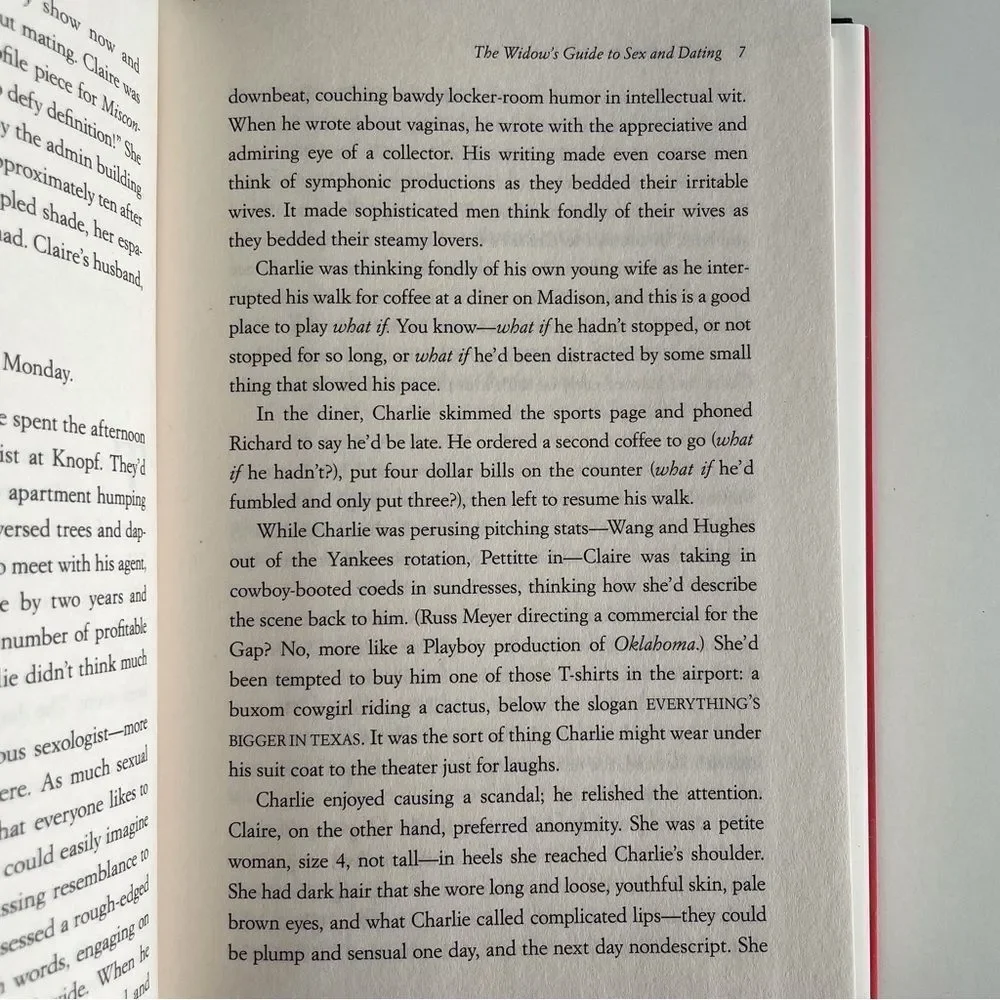 BOOK, The Widow’s Guide to Sex & Dating, a novel, 302 pages, Fiction, NOS - Picture 6 of 16